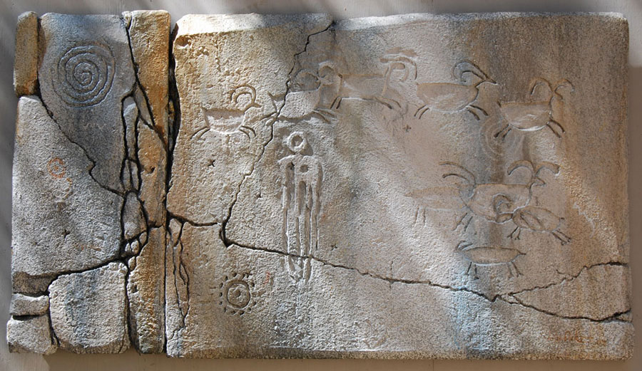 lithsheepaliens